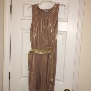 Worthington gold shimmer dress with belt
